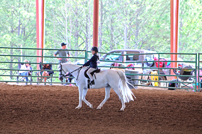 Picture from Catoosa County Saddle Club show