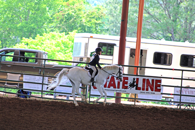 Picture from Catoosa County Saddle Club show