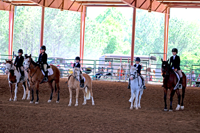 Picture from Catoosa County Saddle Club show