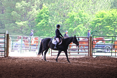 Picture from Catoosa County Saddle Club show