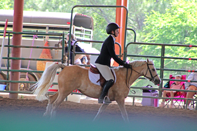 Picture from Catoosa County Saddle Club show