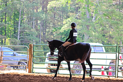 Picture from Catoosa County Saddle Club show
