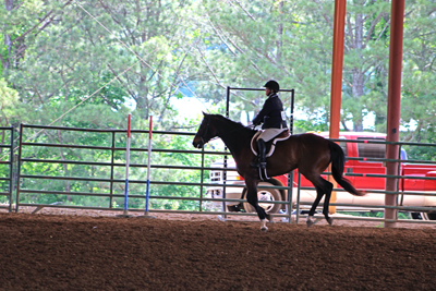 Picture from Catoosa County Saddle Club show