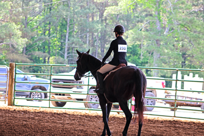 Picture from Catoosa County Saddle Club show