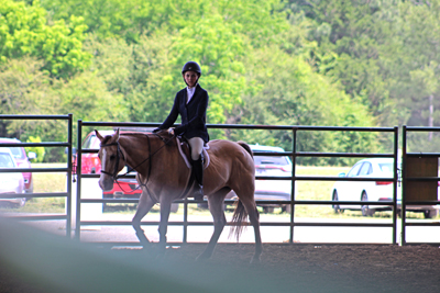 Picture from Catoosa County Saddle Club show