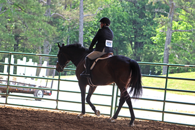 Picture from Catoosa County Saddle Club show