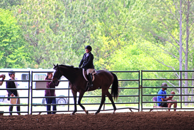 Picture from Catoosa County Saddle Club show