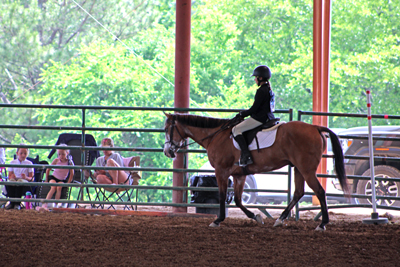 Picture from Catoosa County Saddle Club show