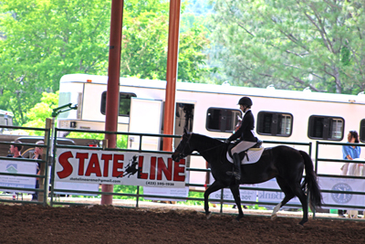 Picture from Catoosa County Saddle Club show