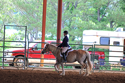 Picture from Catoosa County Saddle Club show