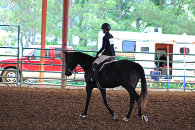 Picture from Catoosa County Saddle Club show