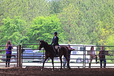 Picture from Catoosa County Saddle Club show