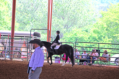 Picture from Catoosa County Saddle Club show
