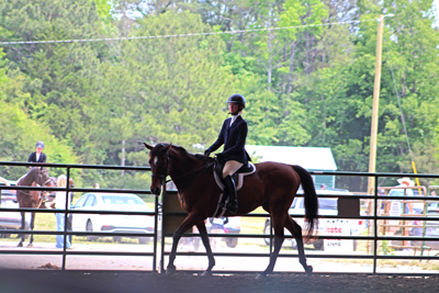 Picture from Catoosa County Saddle Club show