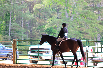 Picture from Catoosa County Saddle Club show