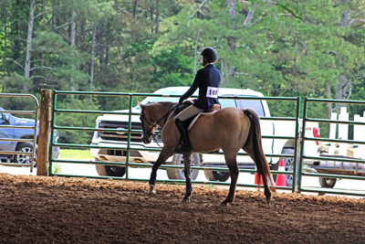 Picture from Catoosa County Saddle Club show