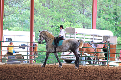 Picture from Catoosa County Saddle Club show