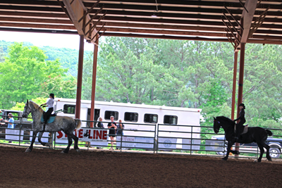 Picture from Catoosa County Saddle Club show