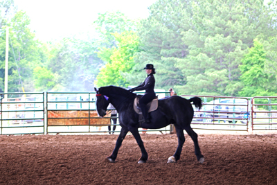 Picture from Catoosa County Saddle Club show