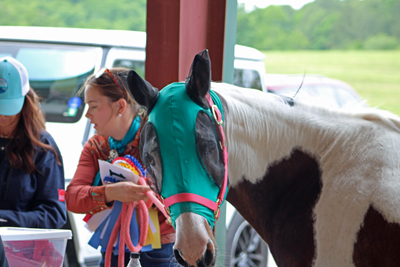Picture from Catoosa County Saddle Club show