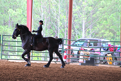 Picture from Catoosa County Saddle Club show