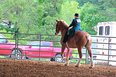 Picture from Catoosa County Saddle Club show