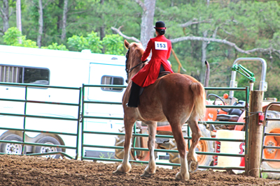 Picture from Catoosa County Saddle Club show