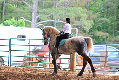Picture from Catoosa County Saddle Club show
