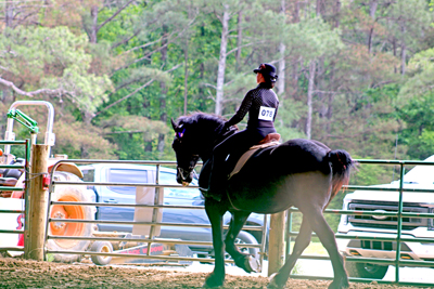 Picture from Catoosa County Saddle Club show