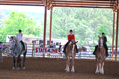 Picture from Catoosa County Saddle Club show