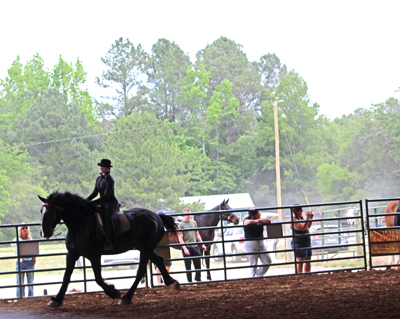Picture from Catoosa County Saddle Club show