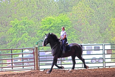 Picture from Catoosa County Saddle Club show