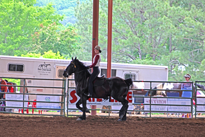 Picture from Catoosa County Saddle Club show