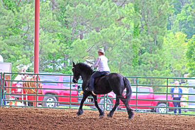 Picture from Catoosa County Saddle Club show