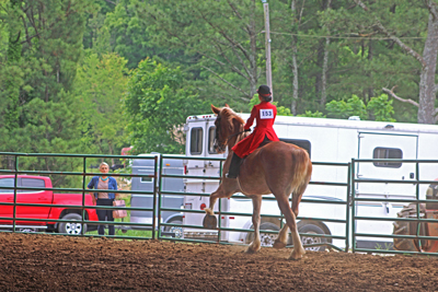 Picture from Catoosa County Saddle Club show