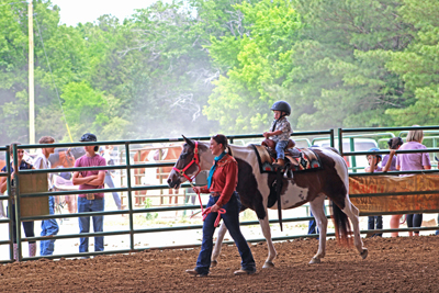 Picture from Catoosa County Saddle Club show