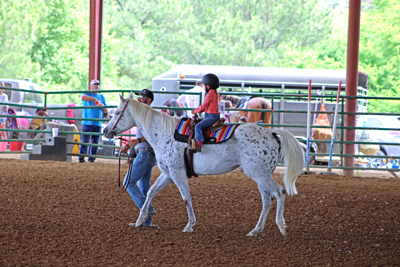 Picture from Catoosa County Saddle Club show
