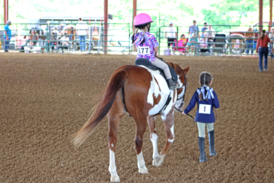 Picture from Catoosa County Saddle Club show