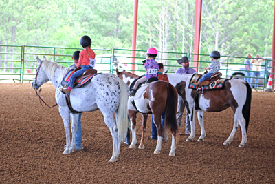 Picture from Catoosa County Saddle Club show