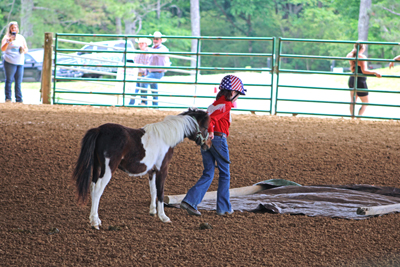 Picture from Catoosa County Saddle Club show