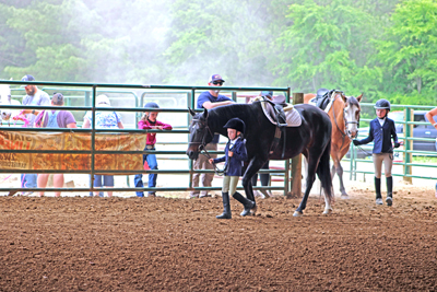 Picture from Catoosa County Saddle Club show