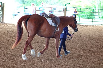 Picture from Catoosa County Saddle Club show