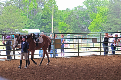 Picture from Catoosa County Saddle Club show