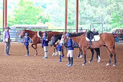 Picture from Catoosa County Saddle Club show