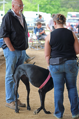 Picture from Catoosa County Saddle Club show