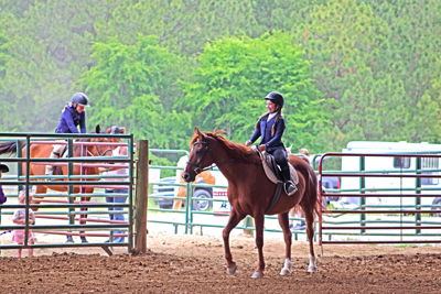 Picture from Catoosa County Saddle Club show