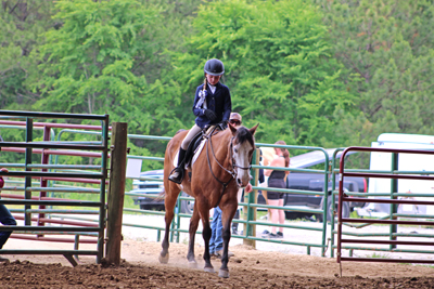 Picture from Catoosa County Saddle Club show