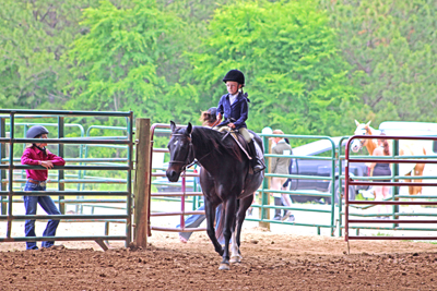 Picture from Catoosa County Saddle Club show