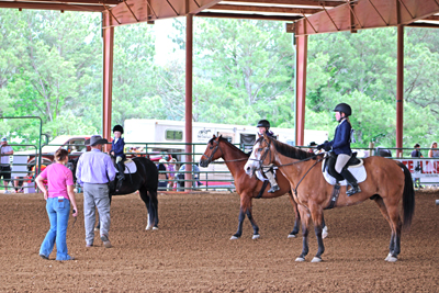 Picture from Catoosa County Saddle Club show