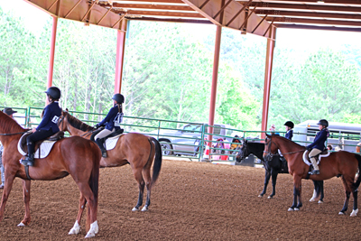 Picture from Catoosa County Saddle Club show